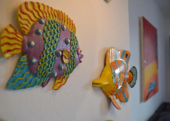 Oasis A 20 M De La Playa