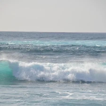 Oasis A 20 M De La Playa *