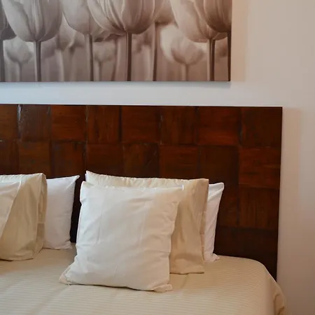 Oasis A 20 M De La Playa