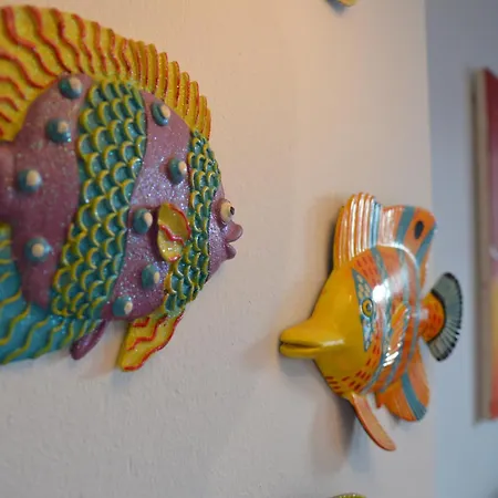 Oasis A 20 M De La Playa