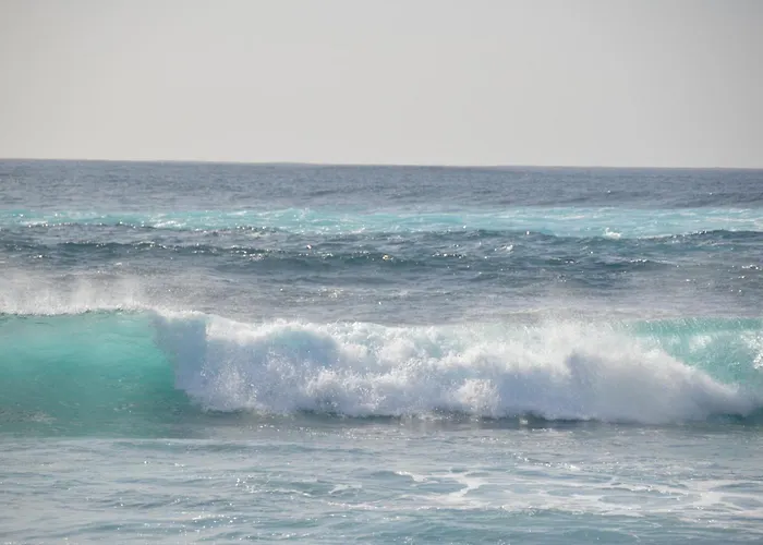 Oasis A 20 M De La Playa *