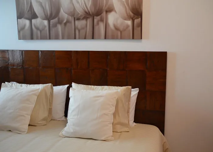 Oasis A 20 M De La Playa